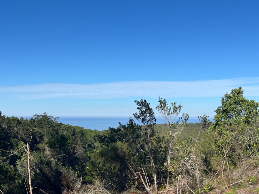 Commercial Property for Sale in Plettenberg Bay Rural Western Cape